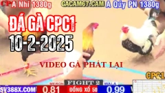🔥Video Xem lại Đá Gà Trực Tiếp Thomo BLV [CPC1] ngày 10-2-2025