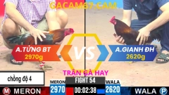 ĐÁ GÀ TRỰC TIẾP CPC3 TỔNG HỢP 4 TRẬN GÀ CHỒNG ĐỘ CỦA ANH TỬNG BẾN TRE NGÀY 8-4