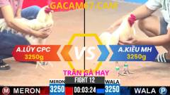 ĐÁ GÀ TRỰC TIẾP TỔNG HỢP 3 TRẬN THẮNG CỦA CHÚ LŨY CPC TẠI BỒ CPC3 ..