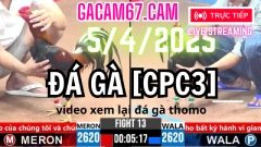 ĐẤU TRƯỜNG THOMO ĐÁ GÀ TRỰC TIẾP CPC3 ĐƯỢC TRỰC TIẾP TẠI ĐÁ GÀ TRỰC TIẾP 1