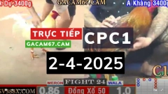 ĐẤU TRƯỜNG THOMO VIDEO XEM LẠI ĐÁ GÀ TRỰC TIẾP CPC1 HÔM NAY 2-4 2015