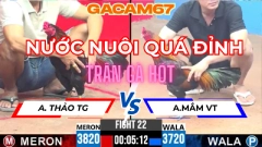 TRẬN 22 TẠI CPC3 NGÀY 16-4 ANH THẢO TIỀN GIANG VS ANH MẮM VŨNG TÀU (NƯỚC NUÔI ĐẲNG CẤP