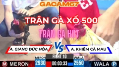 TRẬN 10 TẠI BỒ CPC3 ANH GIANG ĐỨC HÒA VS ANH HIẾU CÀ MAU NGÀY 15-4 (TRẬN GÀ XỔ 500)