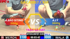TRẬN 10.11-4-2025 ANH BẢO STING vs ANH LỲ TẠI CPC2 (NGƯỢC DÒNG NGOẠN MỤC)