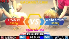 TRẬN 12.ANH TÂM VĨNH LONG VS ANH BẢO SITING TẠI CPC2 NGÀY 11-4 (CÚ IDOL ĐÂM NHƯ MÁY XỚI )