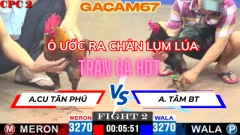 TRẬN 2 NGÀY 20-4 TẠI BỒ CPC2 ANH CU TÂN PHÚ VS ANH TÂN BẾN TRE ( Ô ƯỚC RA CHÂN LỤM LÚA )