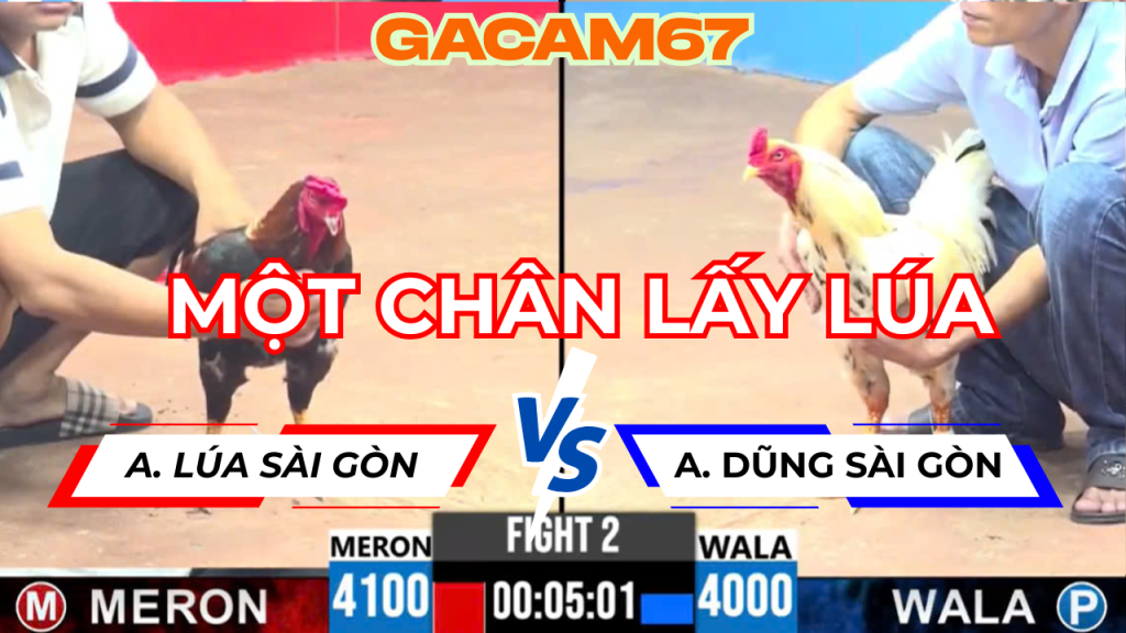 TRẬN 2 TẠI BỒ CPC3 ANH LÚA SÀI GÒN VỚI ANH DŨNG SÀI GÒN NGÀY 12-4 (MỘT CHÂN LỤM LÚA )
