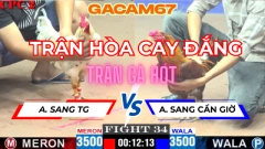 TRẬN 34 TẠI BỒ CPC2 ANH SANG TIỀN GIANG VỚI ANH SANG CẦN GIỜ NGÀY 16-4 (TRẬN HÒA CAY ĐẮNG )