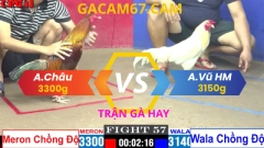 TRẬN 57 NGÀY 7-4-2025 TẠI CPC1 ANH CHÂU VS ANH VŨ HỐC MÔN
