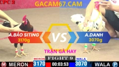TRẬN 9 ANH BẢO STING vs ANH DANH TẠI BỒ CPC2 NGÀY 11-4-2025 (ĐIỀU ĐỎ IDOL ĐÂM NHƯ MÁY SỚI )