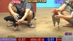 VIDEO XEM ĐÁ GÀ TRỰC CPC4 TỪ TỊNH BIÊN NGÀY 6-4-NĂM 2025 TẠI DAGATRUCTIEP1