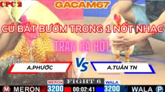 CÚ BẮT BƯỚM TRONG 1 NỐT NHẠC TRẬN 6 TẠI ĐÁ GÀ THOMO CPC2 ANH PHƯỚC SV ANH TUÂN NGÀY 14-5