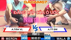 ĐẲNG CẤP CỦA Ô ƯỚC TRẬN 3 TẠI CPC3 NGÀY 13-5 ANH TÂM VL VỚI ANH TÝ ĐN