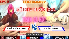 ĐÚNG CHẤT MẼ HIỆU BƯỚM IDOL TRẬN 8 TẠI ĐÁ GÀ THOMO CPC2 NGÀY 16-5-2025