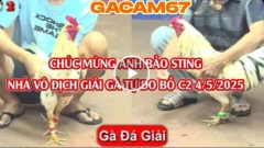 HÀNH TRÌNH VÔ ĐỊCH CỦA ANH BẢO SITING