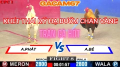 KHÉT THÁI MỸ HẠ BƯỚM CHÂN VÀNG TRẬN 8 TẠI ĐÁ KÊ TRỰC TIẾP HÔM NAY CPC1 NGÀY 27-5-2025