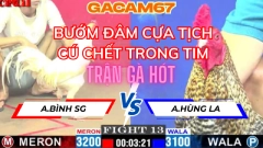 TRẬN 13 ANH BÌNH SG VỚI ANH HÙNG LA TẠI ĐÁ GÀ THOMO CPC1 NGÀY 6-5