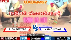 TRẬN 15 ANH GÀ BT VS ANH BẢO SITING TẠI ĐÁ GÀ CPC2( ANH EM BIỆN ĐI XA VỚI ANH BẢO)