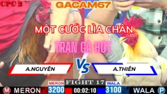TRẬN 17 TẠI ĐÁ GÀ THOMO CPC2 ANH NGUYÊN VS ANH THIÊN NGÀY 11-5 (MỘT CƯỚC LÌA CHÂN )