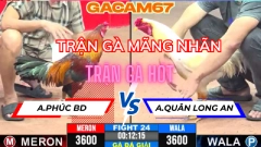 TRẬN 24 TẠI CPC3 ANH PHÚC BD VS ANH QUÂN NGÀY 7-5 ( TRẬN GÀ MÃNG NHÃN VUA GÀ THẤT THỦ )
