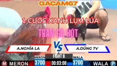 TRẬN 8 TẠI NGÀY 12-5 TẠI CPC3 ANH NGHĨA LA VS ANH DŨNG TV (MỘT CƯỚC ĐỊNH THẮNG THUA )