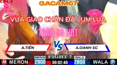 VỪA GIAO CHÂN ĐỎ ĐÃ LỤM LÚA NHANH NHẸ TRẬN 7 TẠI ĐÁ GÀ CPC1 NGÀY 22-5-2025